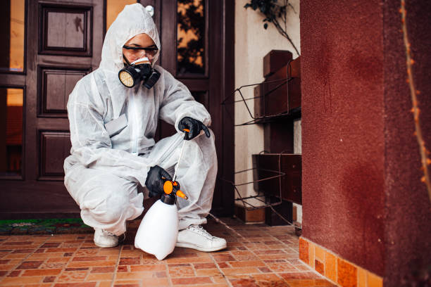 Reliable Wasp Removal contractor in Nevada, IA by Show Me Pest Control